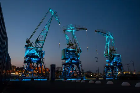 Crane-a-sauruses